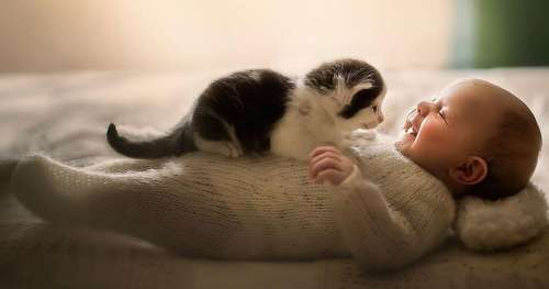 Une photographe prend en photo des enfants avec leurs amis les animaux, et c’est trop mignon