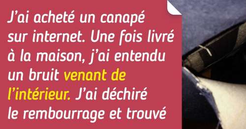 20+ Veinards qui sont tombés sur de vrais trésors sur des sites de petites annonces