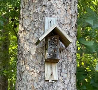 19 Objets mystérieux dont on ne sait pas s’ils sont des déchets ou des trésors