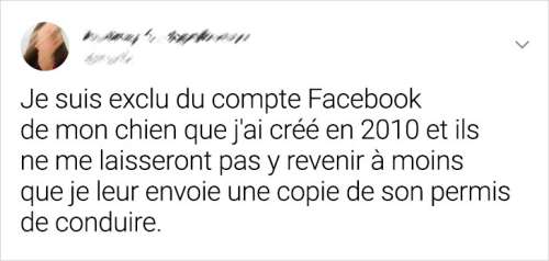 15 Personnes dont la journée a probablement été un véritable festival de catastrophes hilarantes