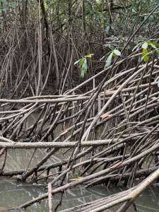 15 Photos prises au hasard où le camouflage te jouera des tours