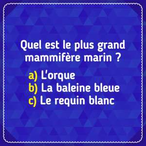 Test de culture générale : découvre à quel point tu es cultivé