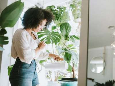 Conseils d’amélioration de la qualité de l’air pour votre maison