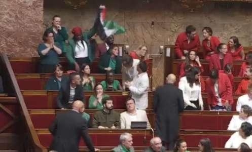 Nouvelle Controverse à l’Assemblée : Rachel Keke Brandit un Drapeau Palestinien