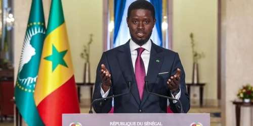 Réforme ou impasse : les enjeux des élections législatives anticipées au Sénégal