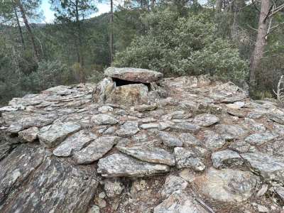 L’ADN révèle les mystères d’un site funéraire néolithique des Cévennes vieux de 5000 ans