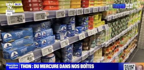 Scandale sanitaire autour du thon en boîte : bientôt banni de la vente ?