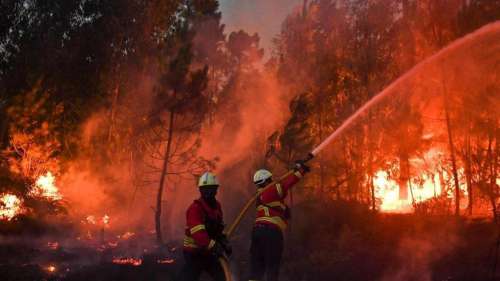 Un pompier condamné à 3 ans de prison ferme pour avoir déclenché des feux de forêt