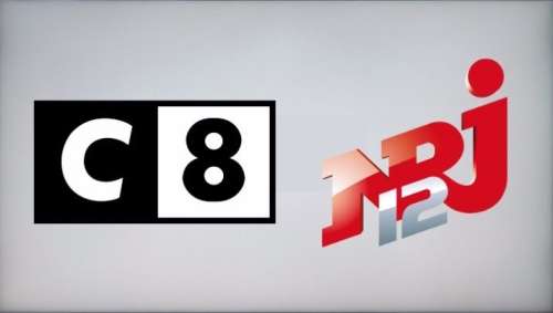 MÉDIAS – C8 et NRJ 12 joueront leur survie devant le Conseil d’État le 15 novembre