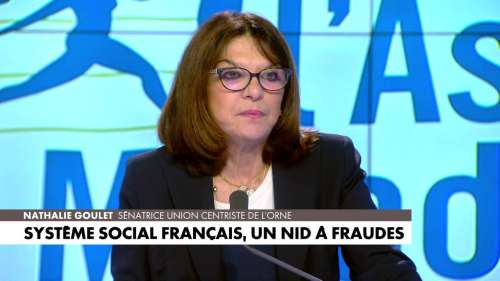 Fraude sociale : la sénatrice Nathalie Goulet alerte sur les failles du système français