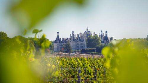 Déconfinement : les premiers visiteurs arrivent au château de Chambord