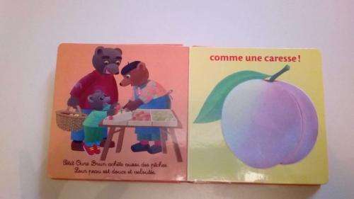 Ille-et-Vilaine : la créatrice de Petit Ours Brun est décédée à 90 ans