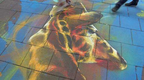Un bestiaire sur le trottoir : la nouvelle fresque du graffeur Dan 23 donne des couleurs au centre-ville de Strasbourg