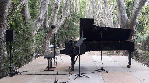 La Roque-d’Anthéron : au milieu de la forêt, des pianos font résistance dans le désastre culturel