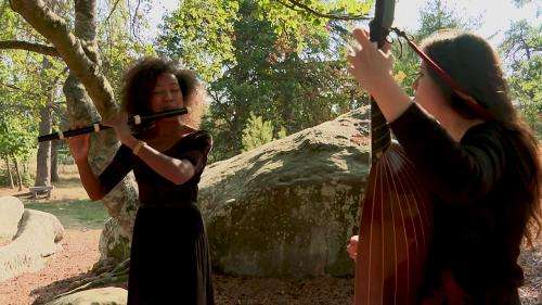 La musique classique s'invite parmi les arbres pour le premier Festival des forêts en Ile-de-France