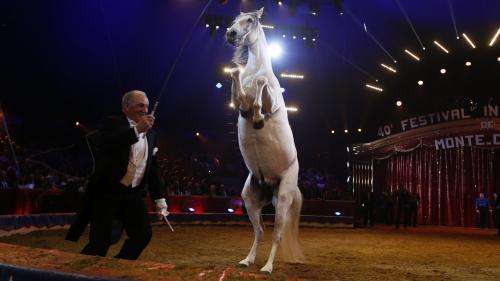 Confinement : le cirque Arlette Gruss ne tient qu’à un fil