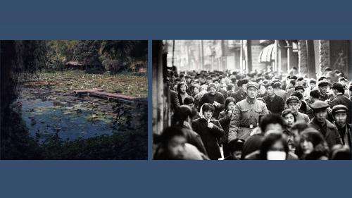 De Sabine Weiss à Marc Riboud, un petit tour dans les galeries parisiennes de photographie