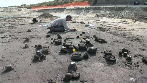 Journées européennes de l’archéologie : le manoir du Tourp présente les vestiges d’un village gaulois enseveli sous le sable