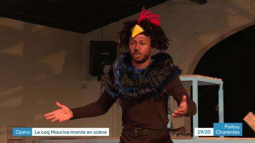 L'histoire tragi-comique du coq Maurice de l'île d'Oléron devient un opéra