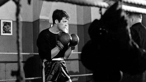 Mort de Jean-Paul Belmondo : boxe, football, tennis... Le sport, l'autre passion de Bébel