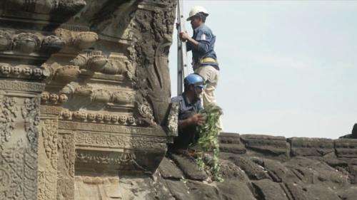 Cambodge : des jardiniers acrobates prennent soin de la cité d’Angkor