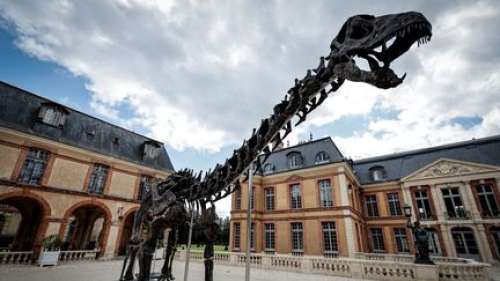 Pour acquérir le plus grand dinosaure jamais mis aux enchères, 