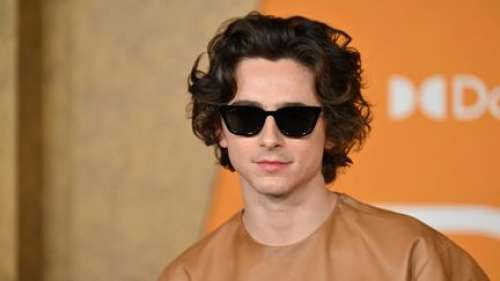 Timothée Chalamet s'invite à son propre concours de sosies à New York... et perd