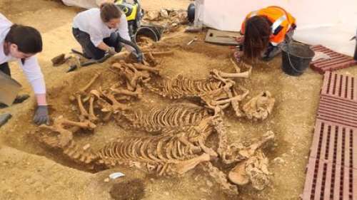 REPORTAGE. Archéologie : de mystérieuses sépultures gauloises de chevaux et de chiens retrouvées dans l'Indre