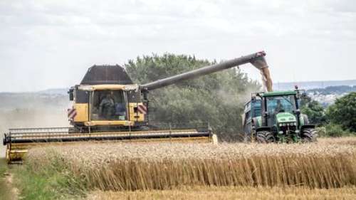  «Baisse record du rendement de blé en France : découvrez pourquoi!»

Ou bien :

«Blé : pourquoi la récolte française est désastreuse cette année !»