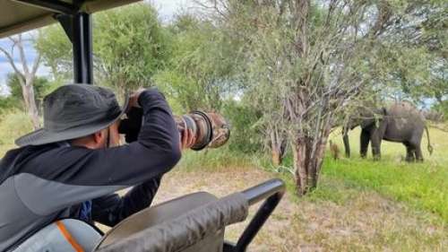 Rencontre avec le photographe animalier Martin Morel, lauréat du prestigieux concours 