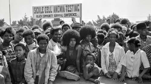 À Mougins, une exposition photo de Stephen Shames rend hommage aux femmes du Black Panther Party