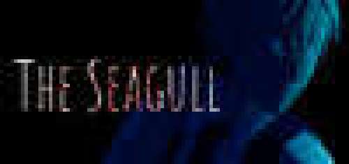 The Seagull