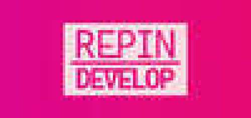 Repin Develop Casual