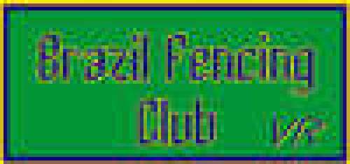 Brazil Fencing Club VR