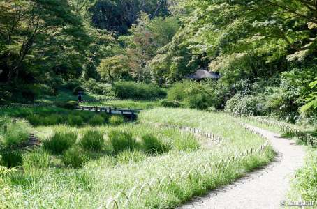 Meiji Jingu Gyoen - Le jardin intérieur du sanctuaire de Harajuku