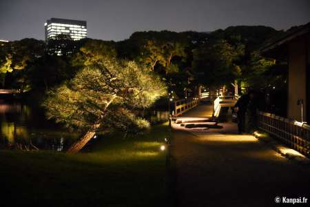 Hamarikyu Tsukimi Sanpo - 🎑 La promenade sous la pleine Lune de l'automne