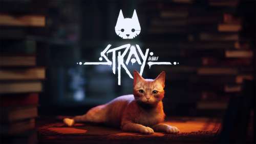 Stray : Gameplay, univers, coulisses du développement… Notre interview avec le producteur du jeu