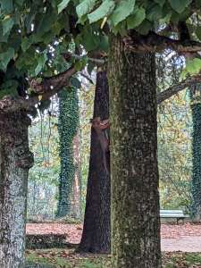 Insolite					Une jolie et surprenante rencontre aux Prés Fichaux, à Bourges