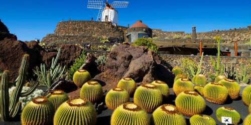 Plongée dans l’œuvre de Manrique, le magicien de Lanzarote