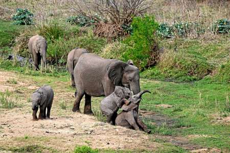 Les derniers jours des vastes étendues naturelles de l’Afrique de l’Est