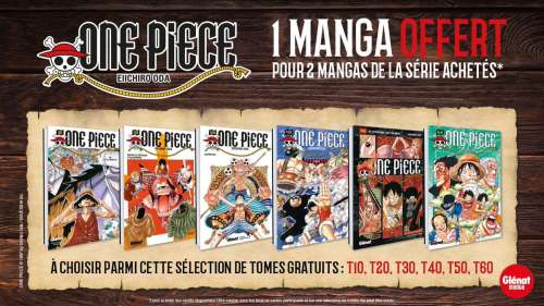 Opération One Piece en librairie