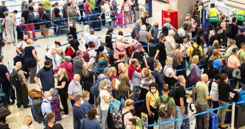 Bangkok : un passager arrêté à l’aéroport avec 17 animaux cachés dans ses bagages