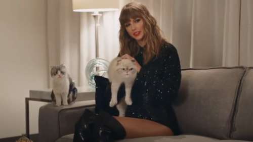 Taylor Swift : son chat coûte une somme ASTRONOMIQUE