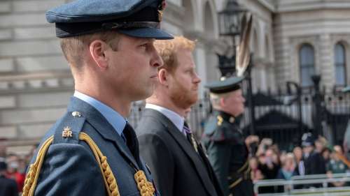 Les princes William et Harry en deuil après la perte d’un proche