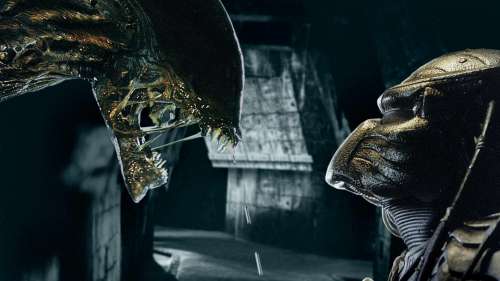 Alien vs Predator 3 : le film est-il en préparation ?