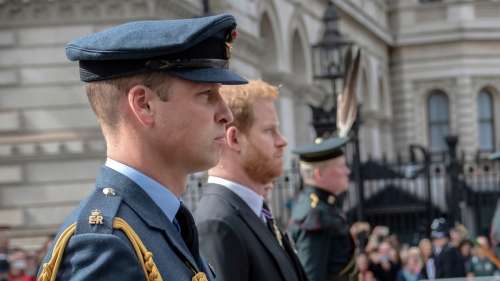 Prince Harry sur le point de toucher un gros pactole, William explose de colère