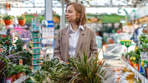 Cette célèbre enseigne de jardinage ferme ses portes, voici le magasin concerné