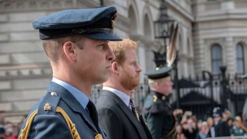 Prince Harry de retour au Royaume-Uni : retrouvailles tendues avec son frère William, 