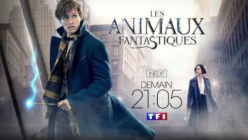 Audiences TV prime dimanche 18 octobre : « Les Animaux Fantastiques » large leader (TF1)