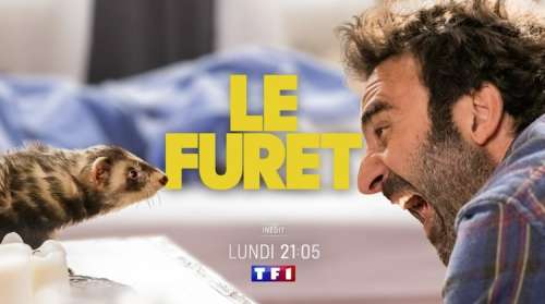 « Le Furet » : histoire et interprètes du téléfilm de TF1 ce soir, lundi 15 novembre 2021